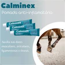 Calminex Pomada 100 G 
