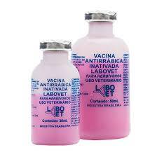 Vacina Anti Rabica Raiva I 